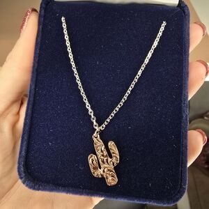 NIB! Montana Silversmiths Desert Darling Rose Cactus Necklace